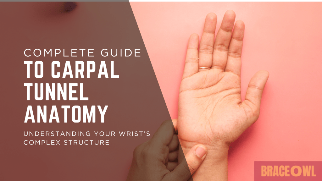 Complete Guide to Carpal Tunnel Anatomy: Understanding Your Wrist's Complex Structure